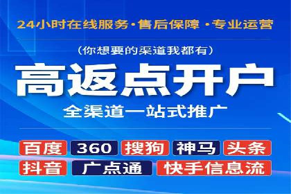 百度SEO推广案例：优化策略与效果对比